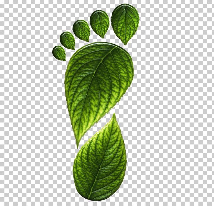 Footprint PNG, Clipart, Barefoot, Carbon, Carbon Footprint, Clip Art, Environmental Free PNG Download
