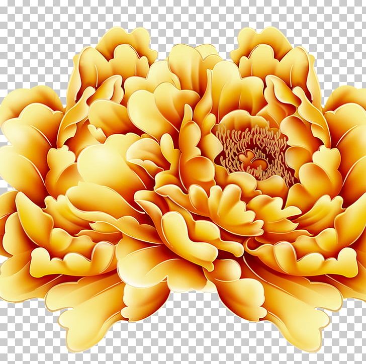 Lantern Festival Moutan Peony PNG, Clipart, Chinese, Chinese New Year, Chrysanths, Daisy Family, Element Free PNG Download