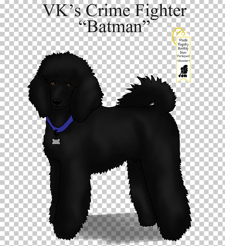 Standard Poodle Barbet Miniature Poodle Portuguese Water Dog Irish Water Spaniel PNG, Clipart, America, Barbet, Black, Breed, Carnivoran Free PNG Download