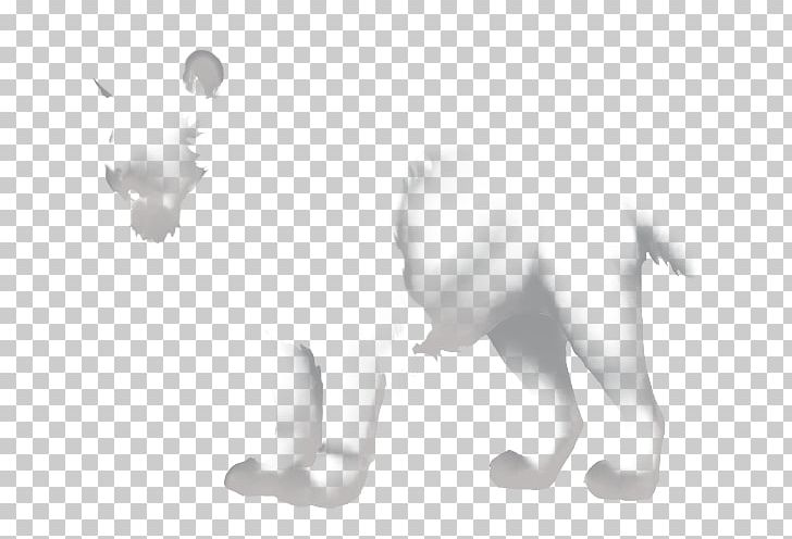 Cat Ear Dog Canidae White PNG, Clipart, Animals, Black And White, Canidae, Carnivoran, Cat Free PNG Download