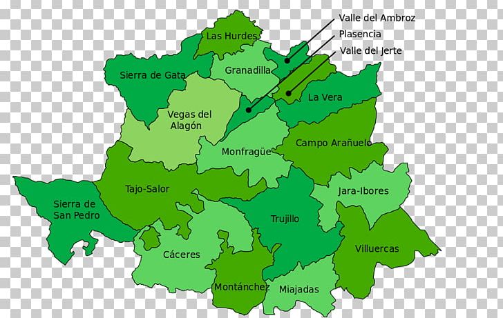 Cáceres Monroy Alcántara Aldea Del Cano Jerte PNG, Clipart, Alcantara, Ceres, Comarca, Diagram, Extremadura Free PNG Download