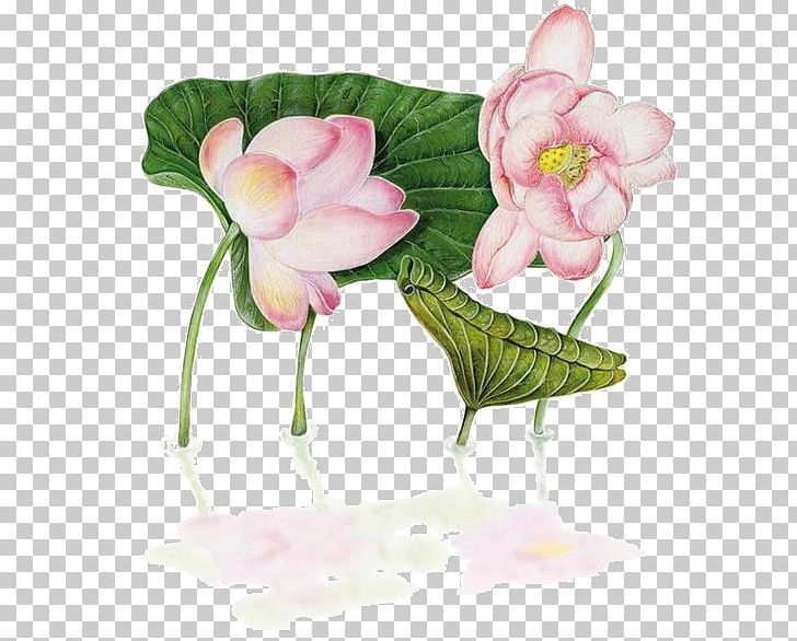China Flower Nelumbo Nucifera Floral Design PNG, Clipart, Artificial Flower, Chinese Style, Flower Arranging, Herbaceous Plant, Illustrator Free PNG Download