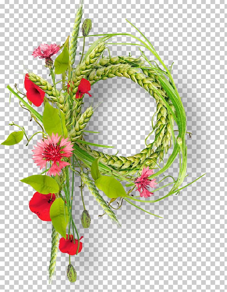 Frames Skyrock PNG, Clipart, Artificial Flower, Blog, Com, Coral, Craft Free PNG Download