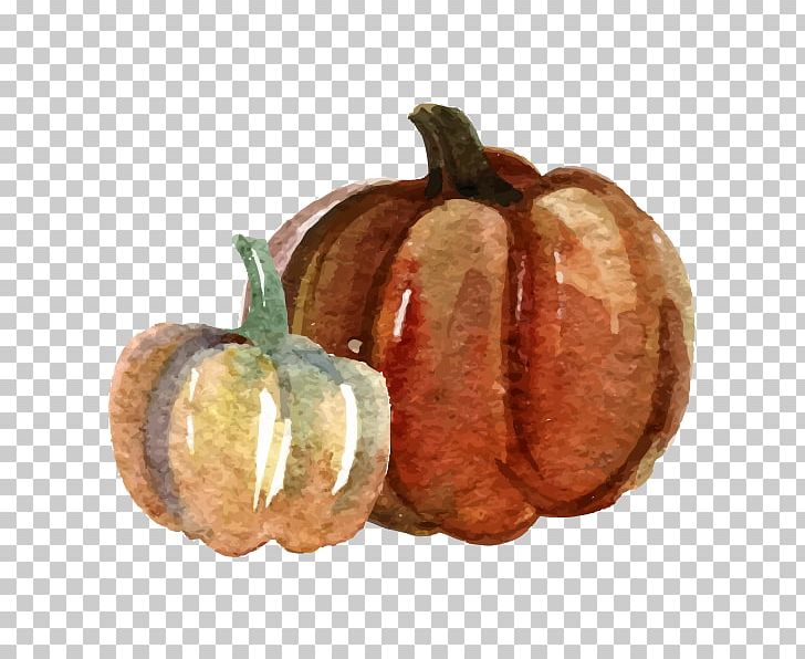 Pumpkin Watercolor Painting PNG, Clipart, Color, Food, Fruit, Gourd, Paint Free PNG Download