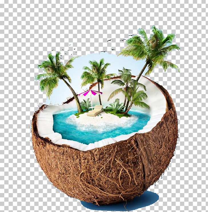 Siargao Coconut Water Beach Stock Photography PNG, Clipart, Arecaceae, Beach, Beaches, Beach Party, Cay Free PNG Download