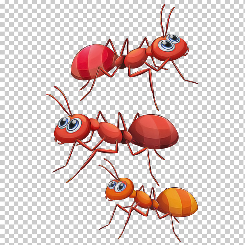 Insect Pest Ant Carpenter Ant Membrane-winged Insect PNG, Clipart, Ant, Carpenter Ant, Insect, Membranewinged Insect, Pest Free PNG Download