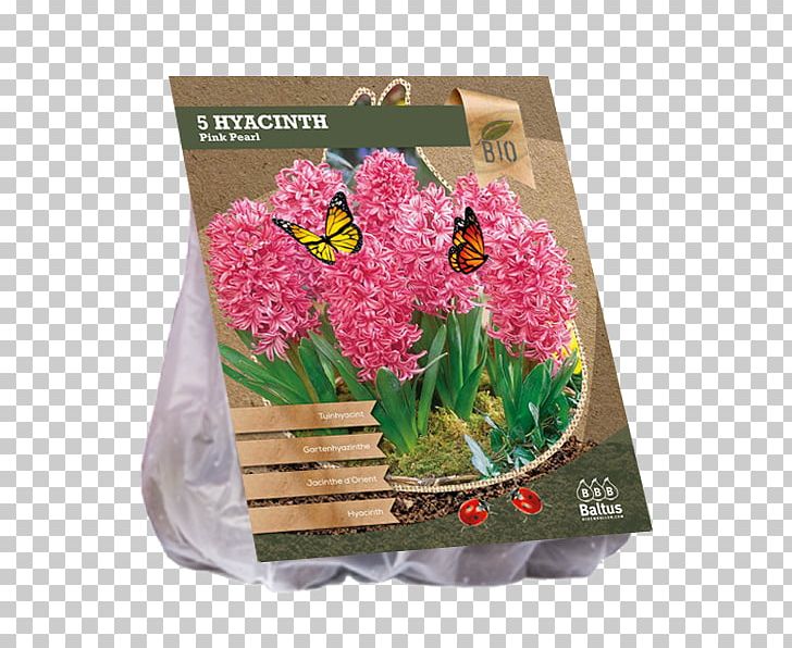 Artificial Flower Grape Hyacinth Flowerpot Magenta PNG, Clipart, Album, Artificial Flower, Flower, Flowering Plant, Flowerpot Free PNG Download