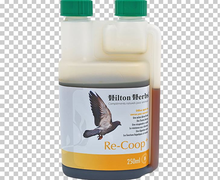 Herb Dietary Supplement Hilton Hotels & Resorts Poultry Bird PNG, Clipart, Bird, Columbidae, Dietary Supplement, Food, Health Free PNG Download