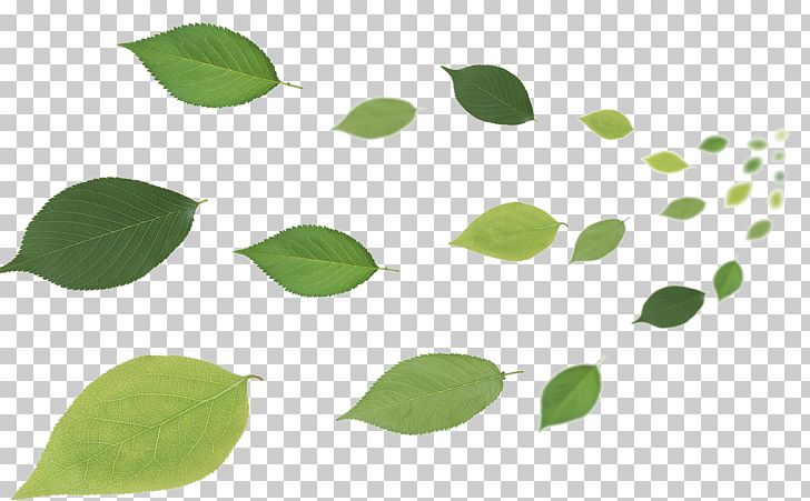 Leaf Desktop PNG, Clipart, Air Conditioner, Aut, Banana Leaves, Branch, Computer Icons Free PNG Download