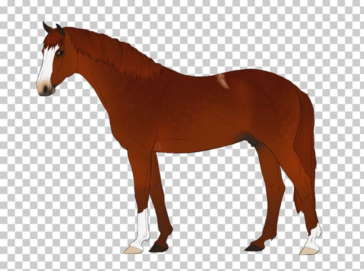Model Horse Western Riding Stallion Equestrian PNG, Clipart, Animals, Collection, Colt, Decal, Drawing Free PNG Download