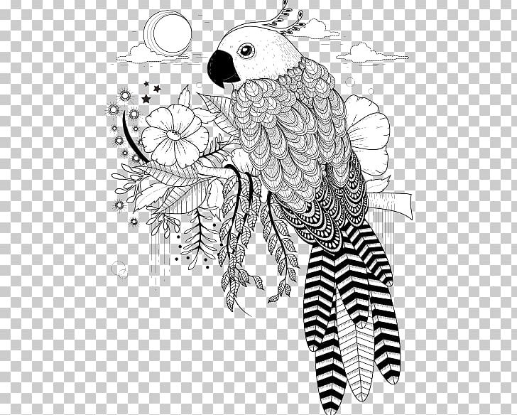 Bird Parrot Owl Stock Photography Illustration PNG, Clipart, Abstract Lines, Animals, Arm, Black, Branch Free PNG Download