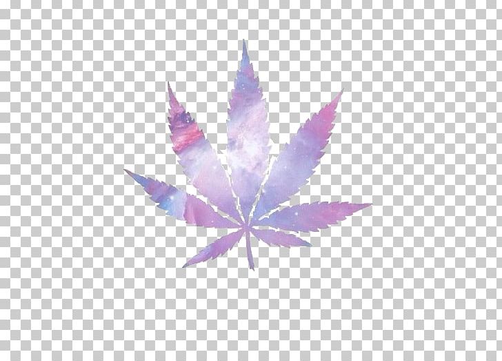 Cannabis Smoking Desktop Medical Cannabis PNG, Clipart, Avatan, Avatan Plus, Cannabis, Cannabis Shop, Cannabis Smoking Free PNG Download