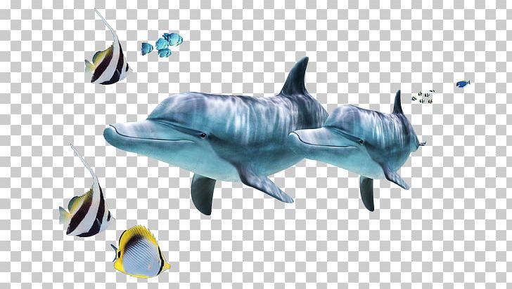 Common Bottlenose Dolphin Tucuxi Marine Biology Ocean Sea PNG, Clipart, Blue Jellyfish, Common Bottlenose Dolphin, Deep Sea, Dolphin, Duvet Free PNG Download