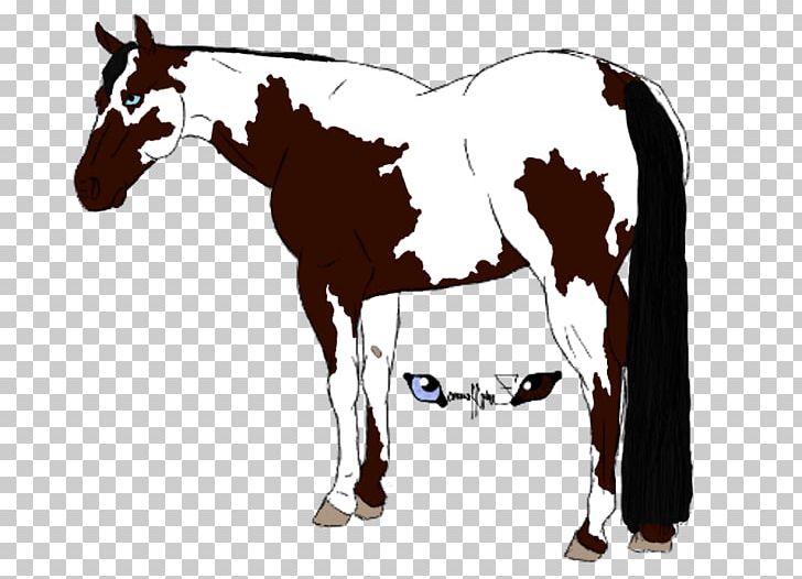 American Paint Horse Foal Drawing PNG, Clipart, America, Animal Figure, Art, Bit, Bridle Free PNG Download