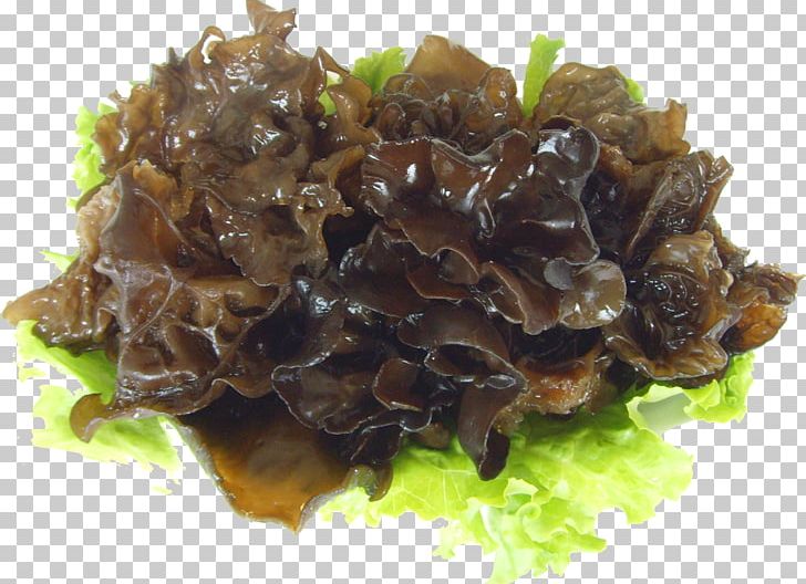 Sichuan Wood Ear Food Eating Fungus PNG, Clipart, Animal Source Foods, Background Black, Black, Black, Black Background Free PNG Download