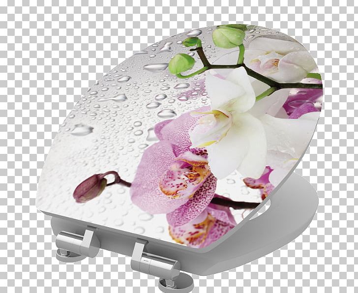 Toilet Bathroom Shower Praktiker PNG, Clipart, Bathroom, Discounts And Allowances, Flower, Furniture, Globalplaza Kft Free PNG Download