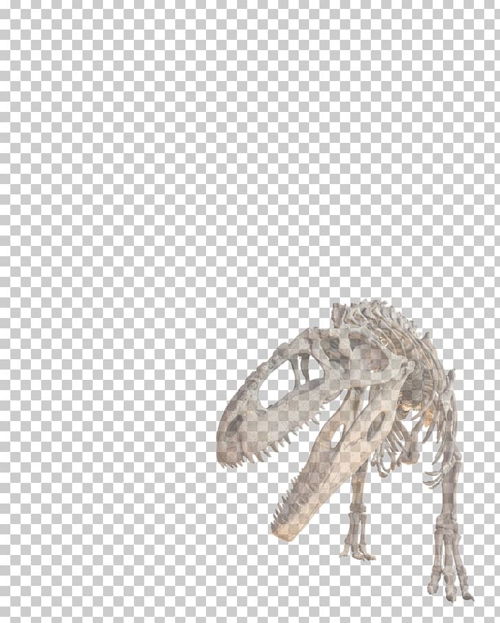 Tyrannosaurus Allosaurus Giganotosaurus Stock Photography PNG, Clipart, Allosaurus, Canvas, Claw, Dinos, Dinosaur Free PNG Download