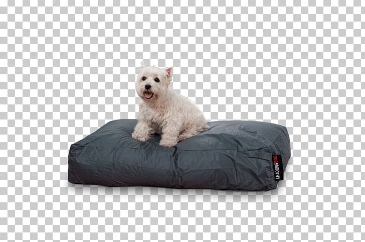 West Highland White Terrier Pillow Puppy Bed Mattress PNG, Clipart, Animal Testing, Bed, Bedding, Canidae, Classic Free PNG Download