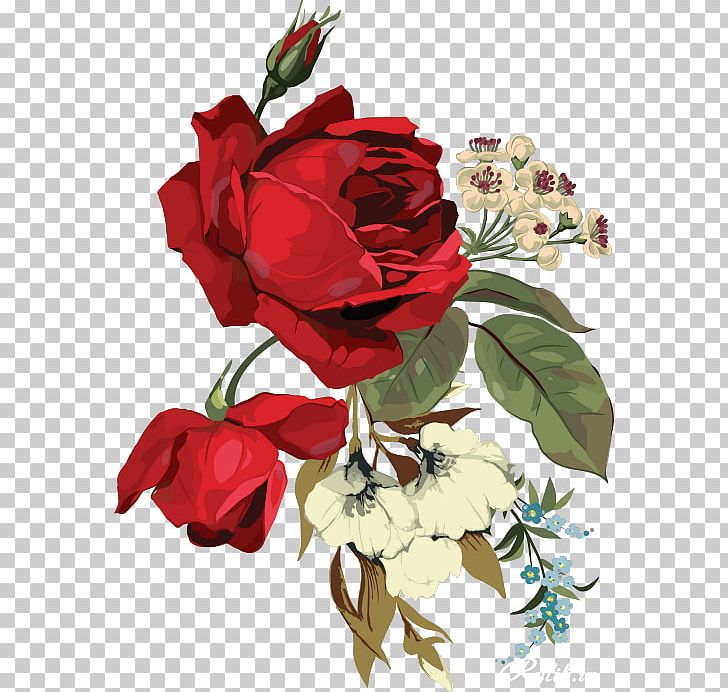 Garden Roses Cut Flowers Centifolia Roses PNG, Clipart, Beautiful, Centifolia Roses, Cut Flowers, Floral Design, Floribunda Free PNG Download