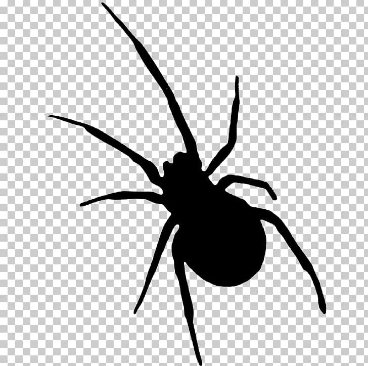 Halloween Computer Icons PNG, Clipart, Arachnid, Arthropod, Black And White, Black Widow, Computer Icons Free PNG Download