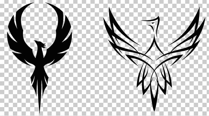 phoenix black and white