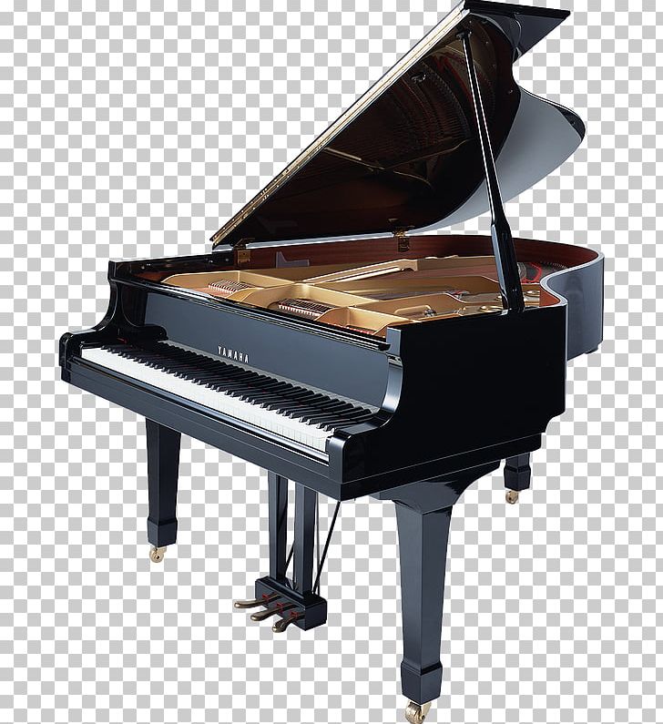 Piano Disklavier Musical Instruments PNG, Clipart, Celesta, Chamber Music, Digital Piano, Disklavier, Electric Piano Free PNG Download
