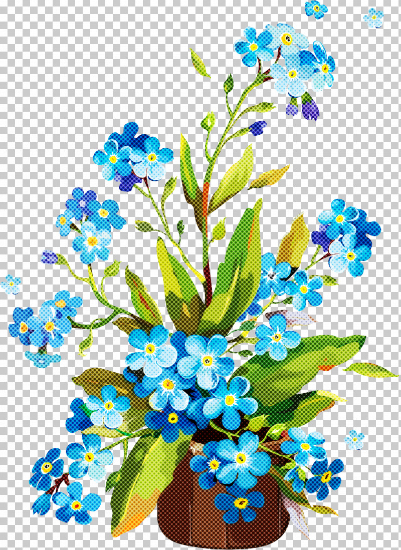 Flower Alpine Forget-me-not Forget-me-not Plant Cut Flowers PNG, Clipart, Alpine Forgetmenot, Borage Family, Bouquet, Cut Flowers, Flower Free PNG Download