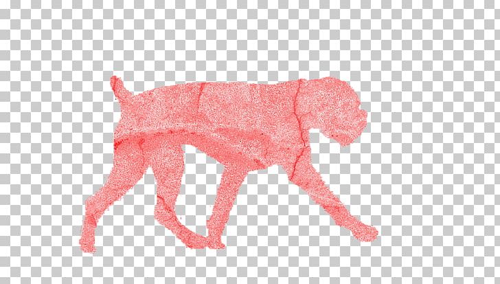 Dog Breed Snout Dog Clothes Crossbreed PNG, Clipart, Breed, Carnivoran, Clothing, Crossbreed, Dog Free PNG Download