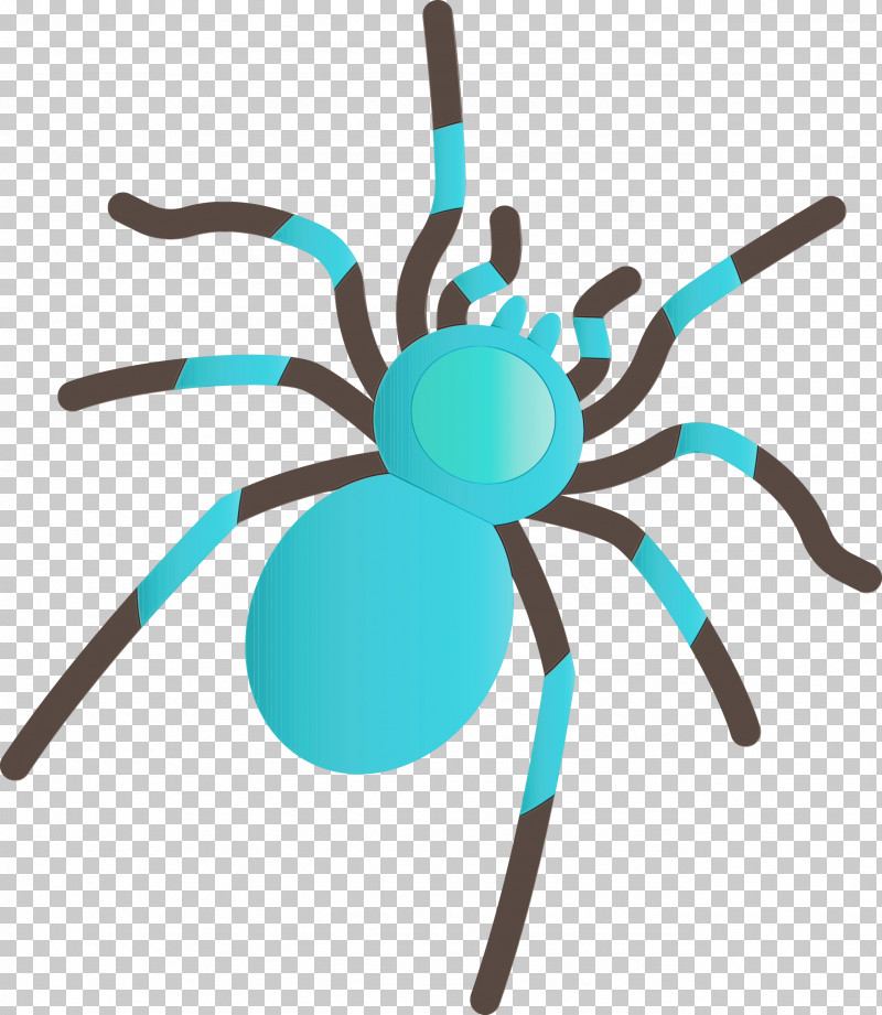 Insect Turquoise PNG, Clipart, Cartoon Spider, Insect, Paint, Turquoise, Watercolor Free PNG Download