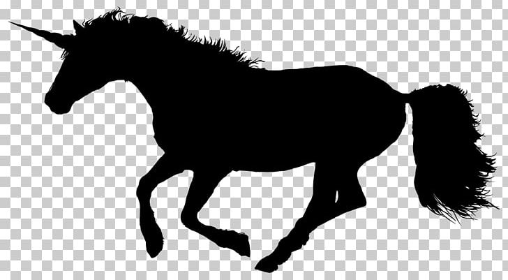 Canter And Gallop Thoroughbred Pony Unicorn PNG, Clipart, Bridle, Canter And Gallop, Collection, Colt, Fantasy Free PNG Download