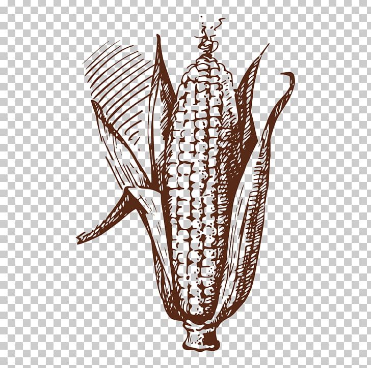 Drawing Vegetable Food Illustration PNG, Clipart, Baogu, Cartoon, Cartoon Corn, Corn, Corn Cartoon Free PNG Download