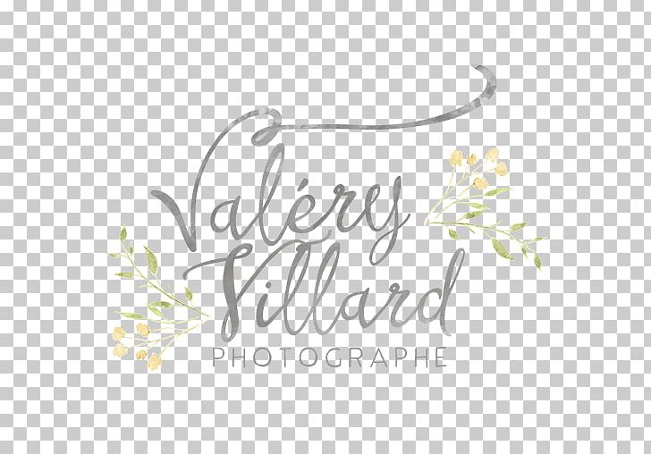 Floral Design Brand Logo Font PNG, Clipart, Art, Brand, Calligraphy, Flora, Floral Design Free PNG Download