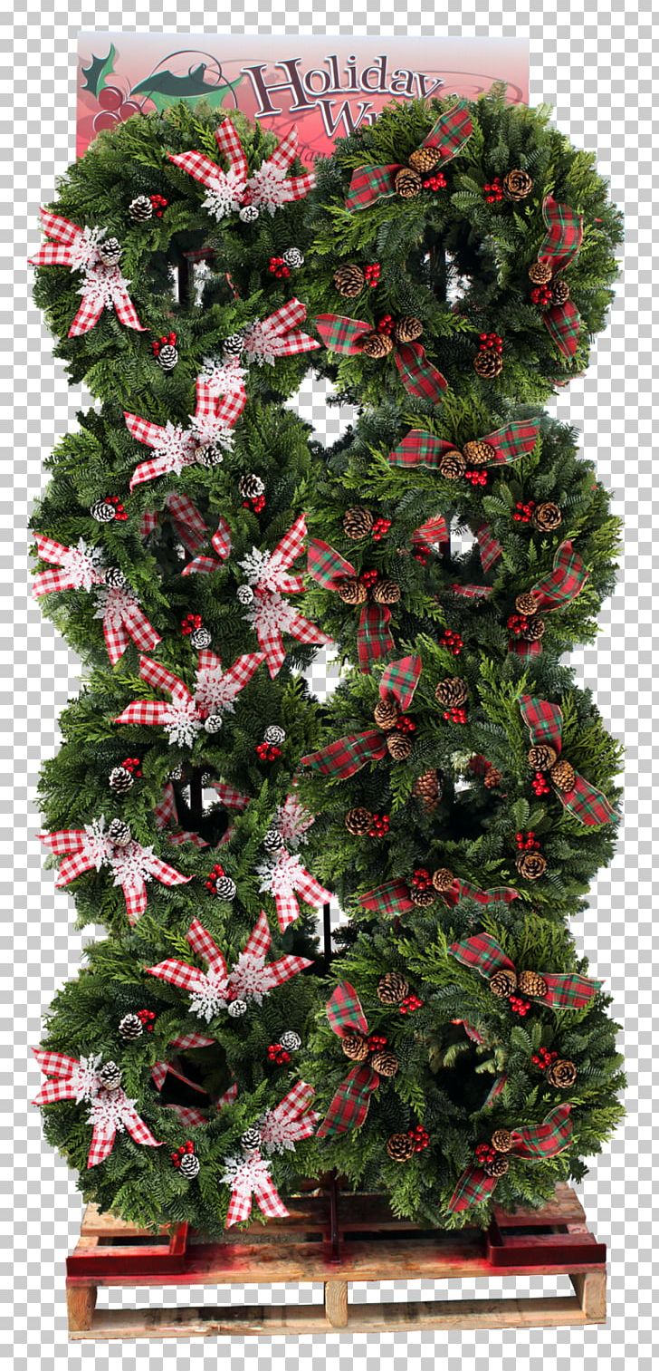 Christmas Decoration Christmas Tree Christmas Ornament Evergreen PNG, Clipart, Christmas, Christmas Decoration, Christmas Ornament, Christmas Tree, Conifer Free PNG Download