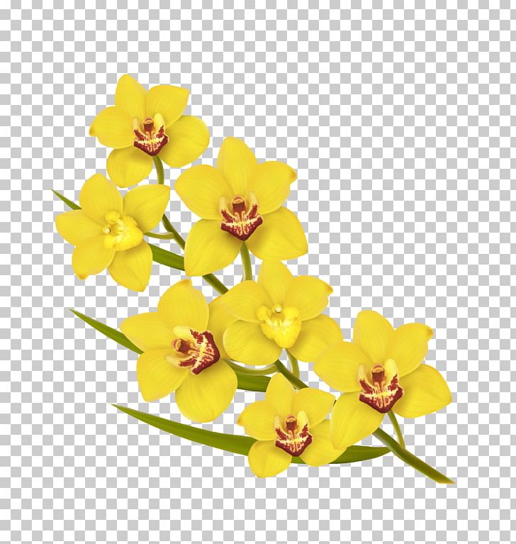 Flower Yellow Euclidean Illustration PNG, Clipart, Art, Blooming Vector, Cut Flowers, Encapsulated Postscript, Flowers Free PNG Download