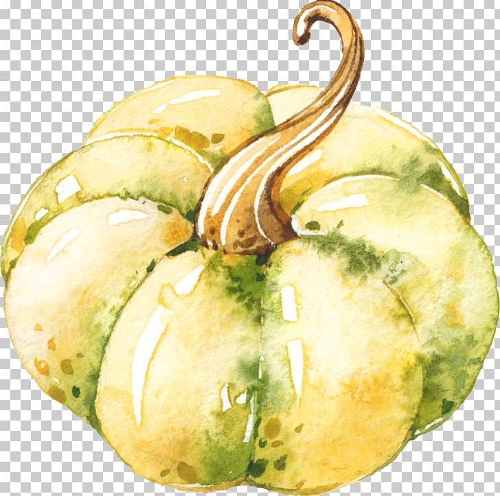 Gourd Pumpkin Winter Squash Watercolor Painting PNG, Clipart, Cucumber Gourd And Melon Family, Cucurbita, Download, Food, Fruit Free PNG Download