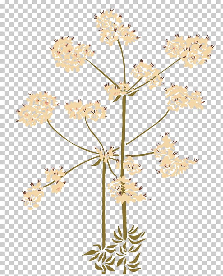 Native Plant 11th Annual Indian Film Festival Of Los Angeles Flower Garden PNG, Clipart, Beardtongue, Branch, California Lilac, Ceanothus Griseus, Cow Parsley Free PNG Download