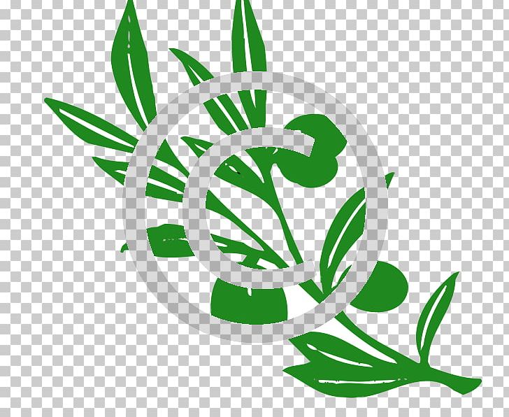 Olive Branch PNG, Clipart, Blog, Branch, Commodity, Download, Drawing Free PNG Download