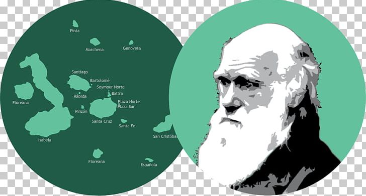On The Origin Of Species Galápagos Islands Book Evolution PNG, Clipart, Art, Book, Cartoon, Charles Darwin, Communication Free PNG Download