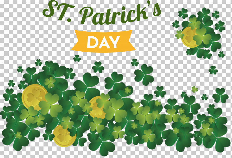 Shamrock PNG, Clipart, Biology, Herbal Medicine, Leaf, Meter, Plant Free PNG Download