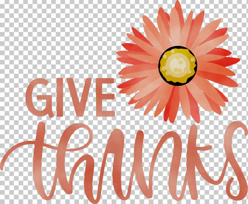 Cut Flowers Daisy Family Petal Logo Font PNG, Clipart, Be Thankful, Common Daisy, Cut Flowers, Daisy Family, Family Free PNG Download