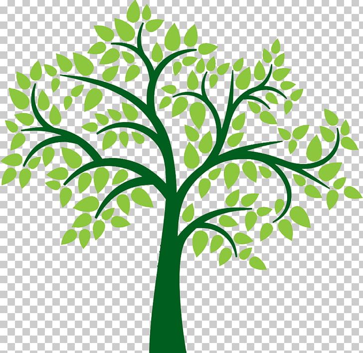 Family Tree PNG, Clipart, Blog, Branch, Clip Art, Crop, Desktop Wallpaper Free PNG Download