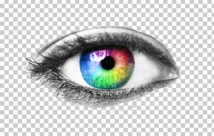 Human Eye Eye Examination Visual Perception PNG, Clipart, Closeup, Color, Contact Lenses, Eye, Eye Examination Free PNG Download