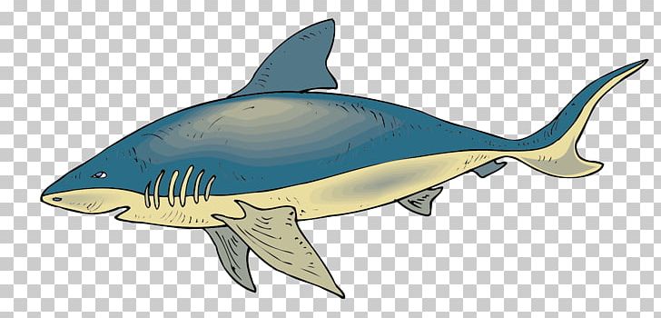 Requiem Shark Fish PNG, Clipart, Animal, Animals, Animation, Euclidean Vector, Explosion Effect Material Free PNG Download