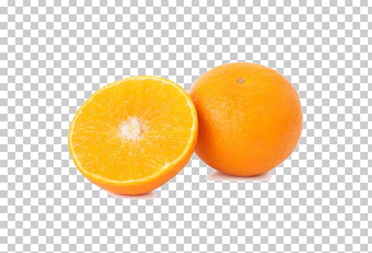 South Africa Clementine Orange Tangerine Tangelo PNG, Clipart, Auglis, Bitter Orange, Citric Acid, Citrus, Citrus Xd7 Sinensis Free PNG Download