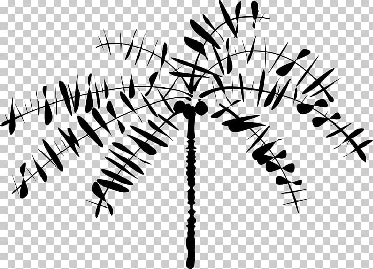 Arecaceae Coconut PNG, Clipart, Angle, Arecaceae, Art, Black And White, Branch Free PNG Download