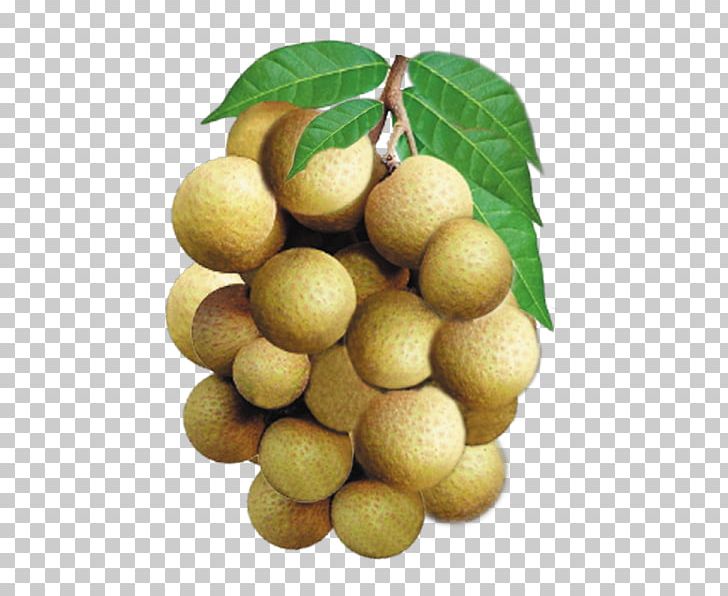 Longan Fruit English Vegetable Vocabulary PNG, Clipart, Baccaurea Ramiflora, Citrus, Durian, English, Food Free PNG Download