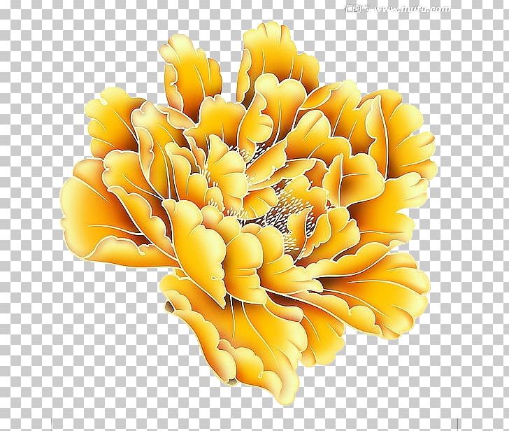 Yellow Moutan Peony Gold PNG, Clipart, Adobe Illustrator, Bright Light Effect, Brightness, Cut Flowers, Download Free PNG Download
