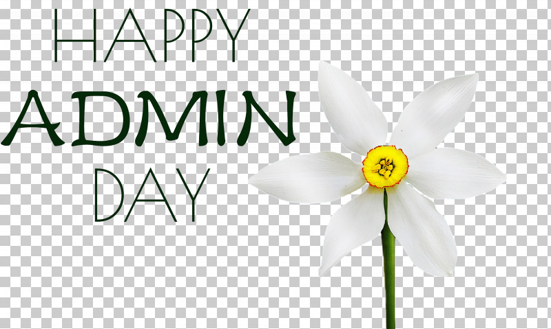 Admin Day Administrative Professionals Day Secretaries Day PNG, Clipart, Admin Day, Administrative Professionals Day, Biology, Cut Flowers, Daffodil Free PNG Download