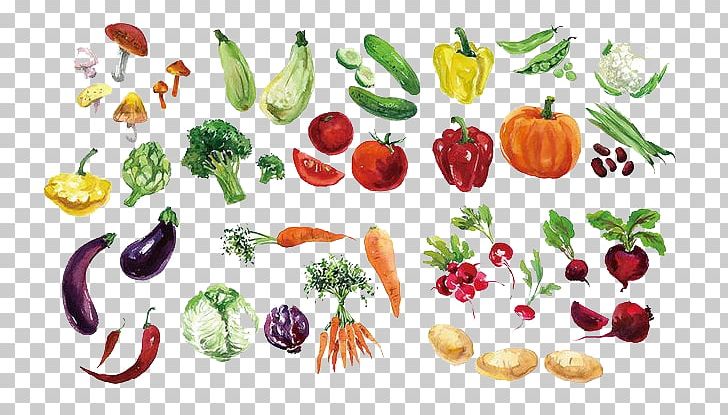 Fruit Vegetable Watercolor Painting Png, Clipart, Cartoon, Color, Encapsulated Postscript, Flower, Food Free Png Download