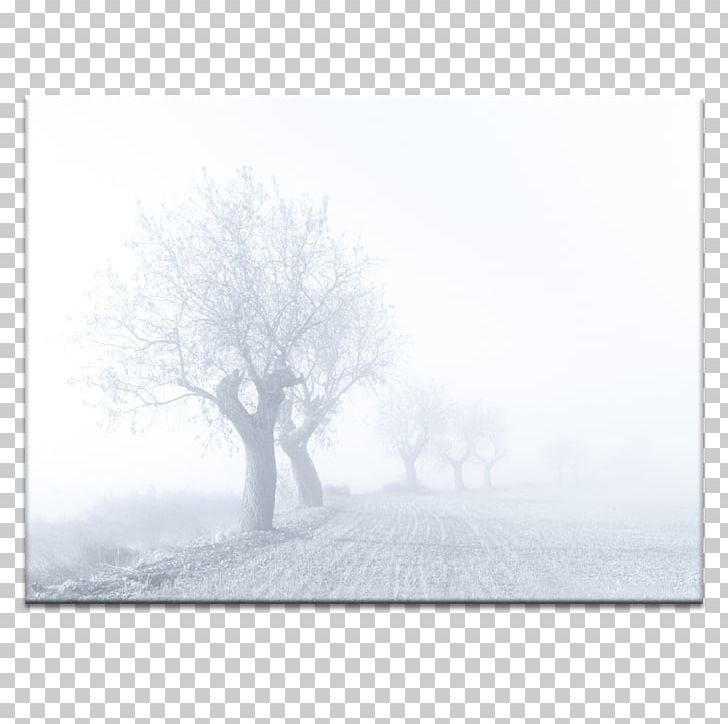 Stock Photography Desktop Computer PNG, Clipart, Black And White, Blizzard, Blizzard Entertainment, Branch, Branching Free PNG Download